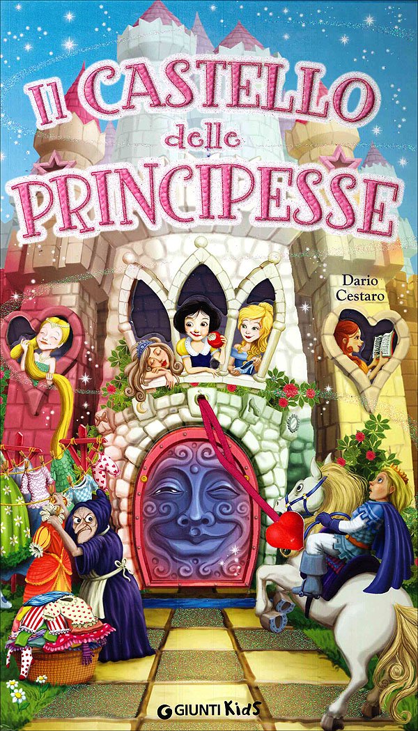 Il castello delle principesse. Ediz. illustrata book