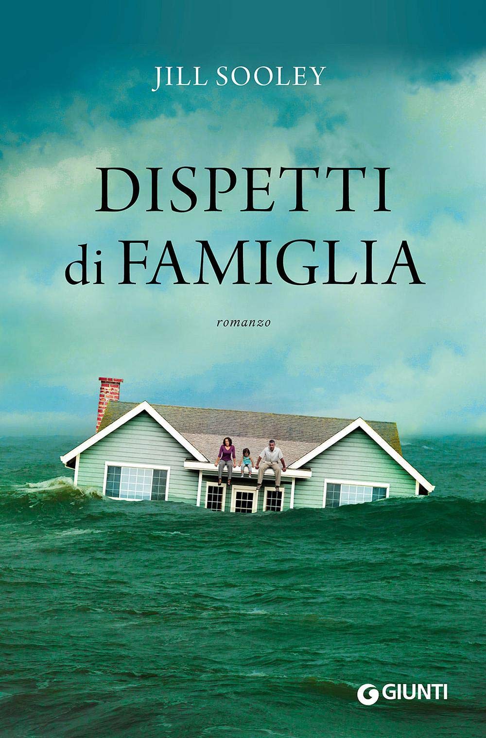 Dispetti di famiglia Contemporary literature