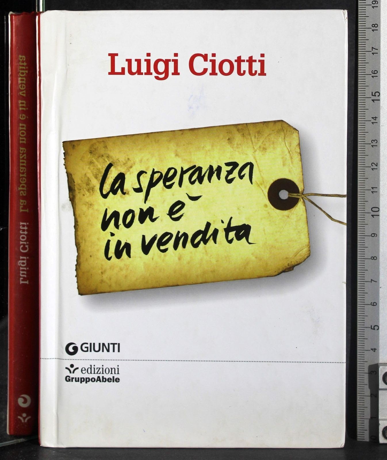 La speranza non è in vendita (Saggistica. Gruppo Abele) Books