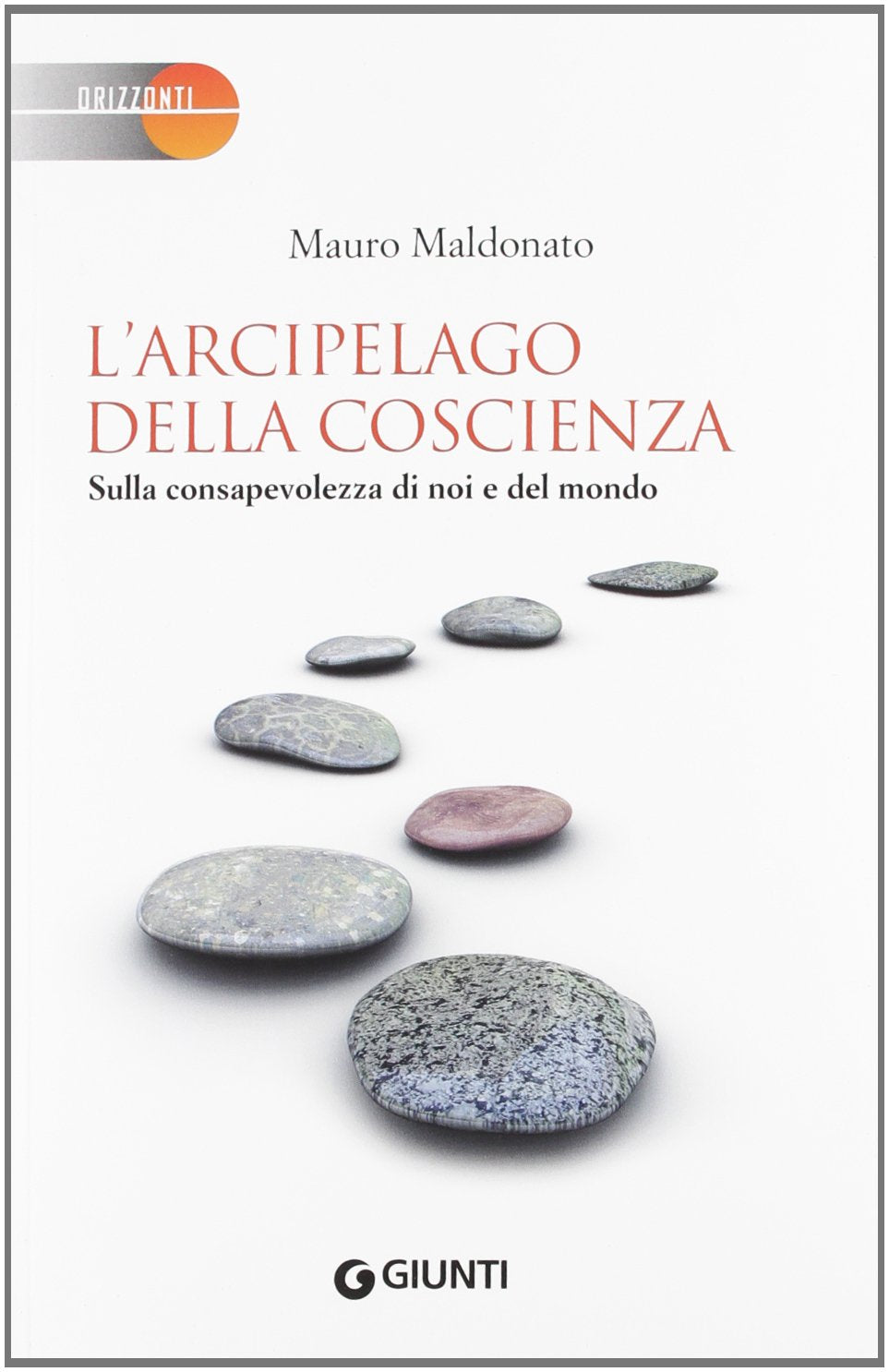 L'arcipelago della coscienza. Sulla consapevolezza di noi e del mondo book