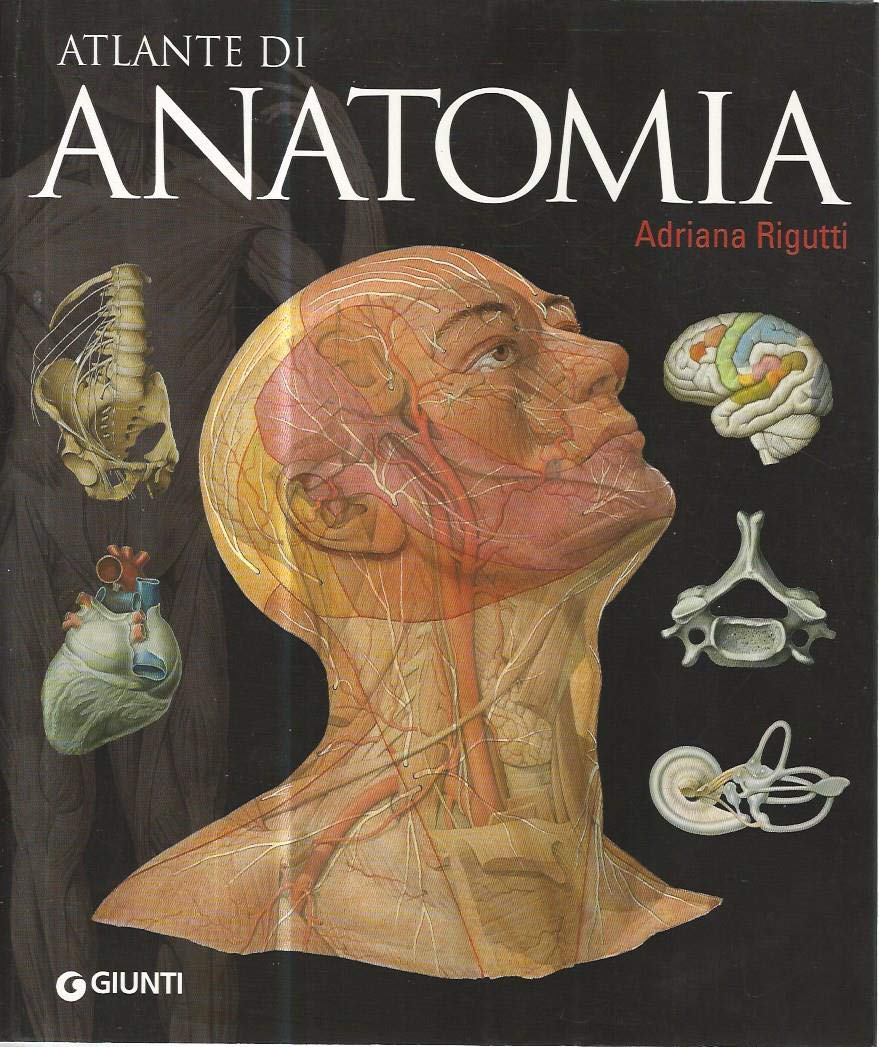 Atlante di anatomia (Atlanti illustrati) Books