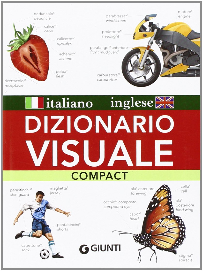 Dizionario visuale compact. Italiano-inglese (Dizionari e repertori) Foreign Languages ​​& Dictionaries