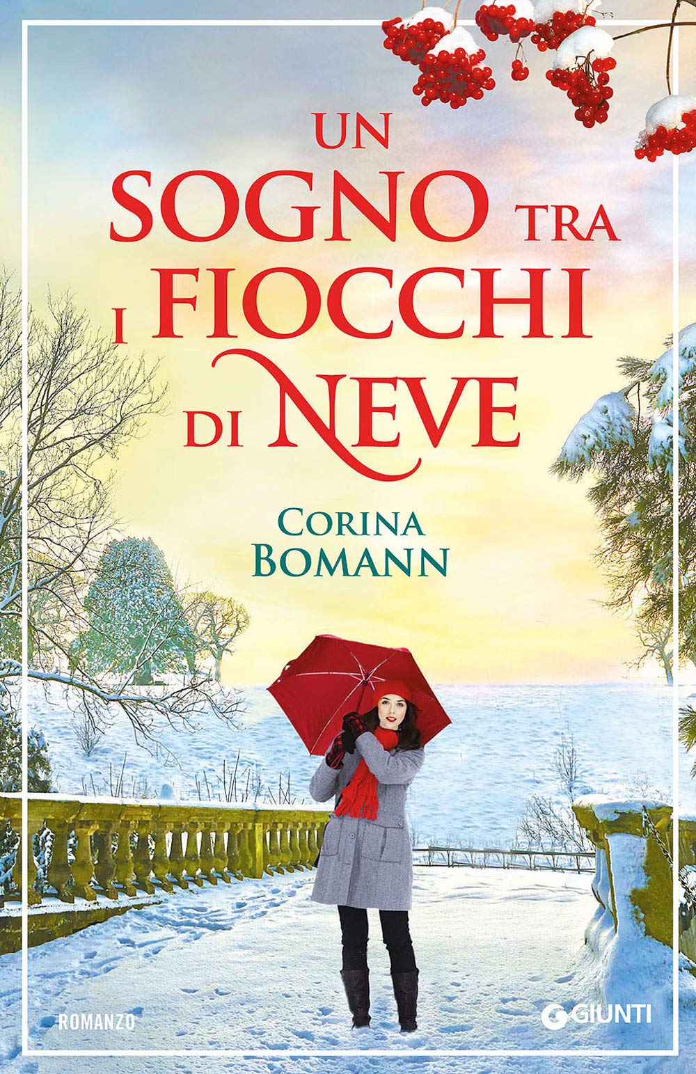 Un sogno tra i fiocchi di neve book