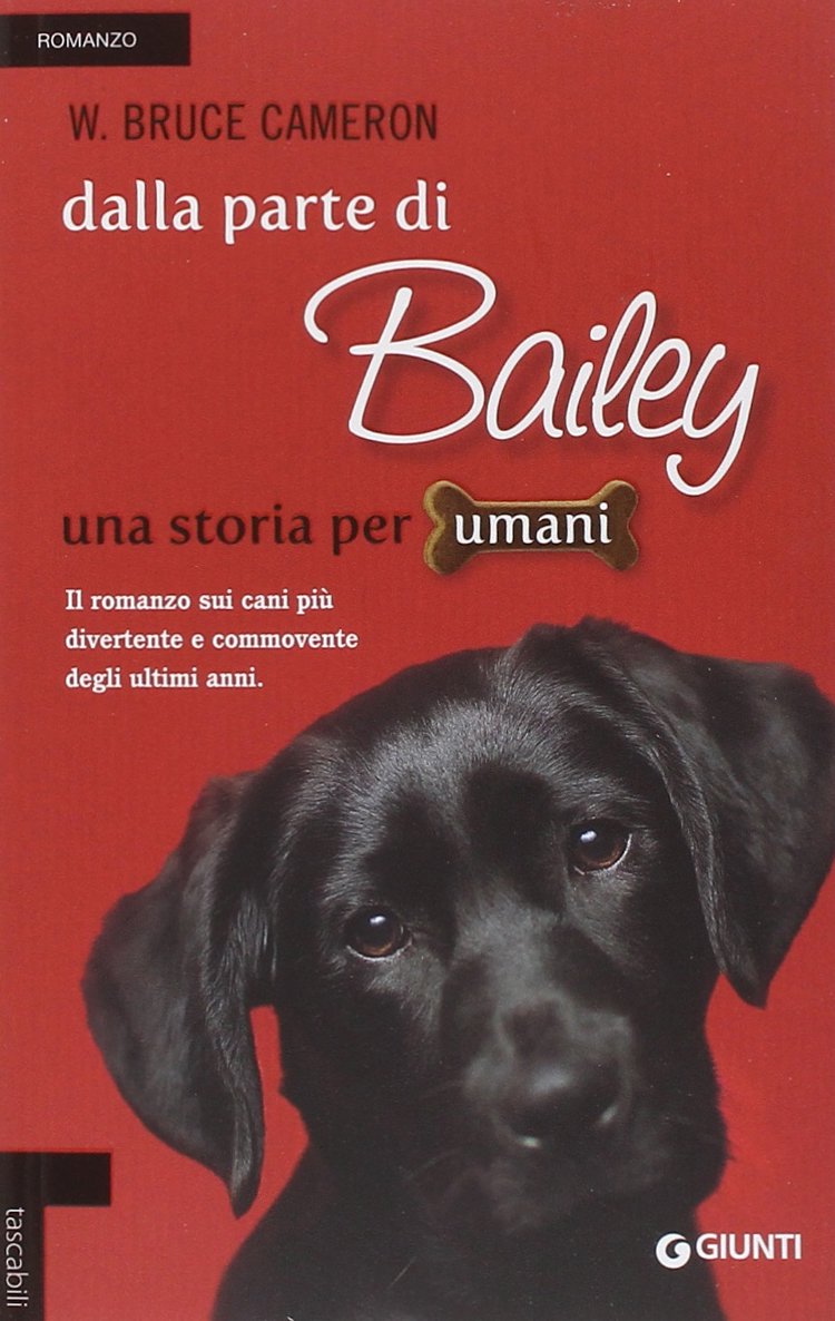 Dalla parte di Bailey (Tascabili Giunti) Contemporary literature Books