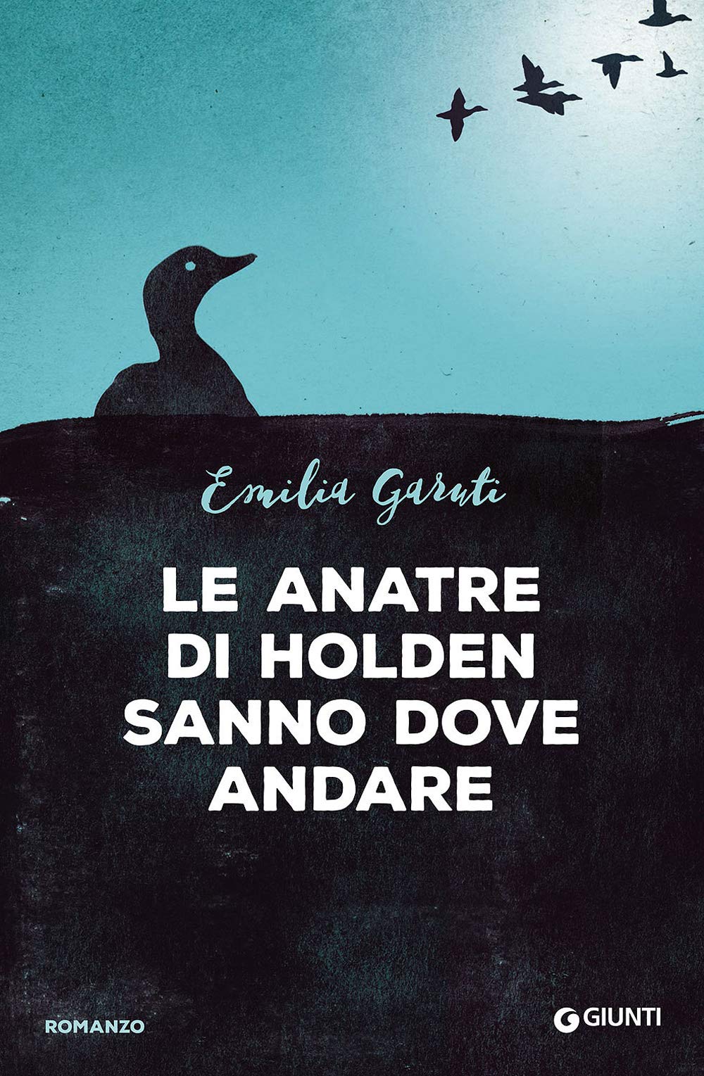 Le anatre di Holden sanno dove andare book
