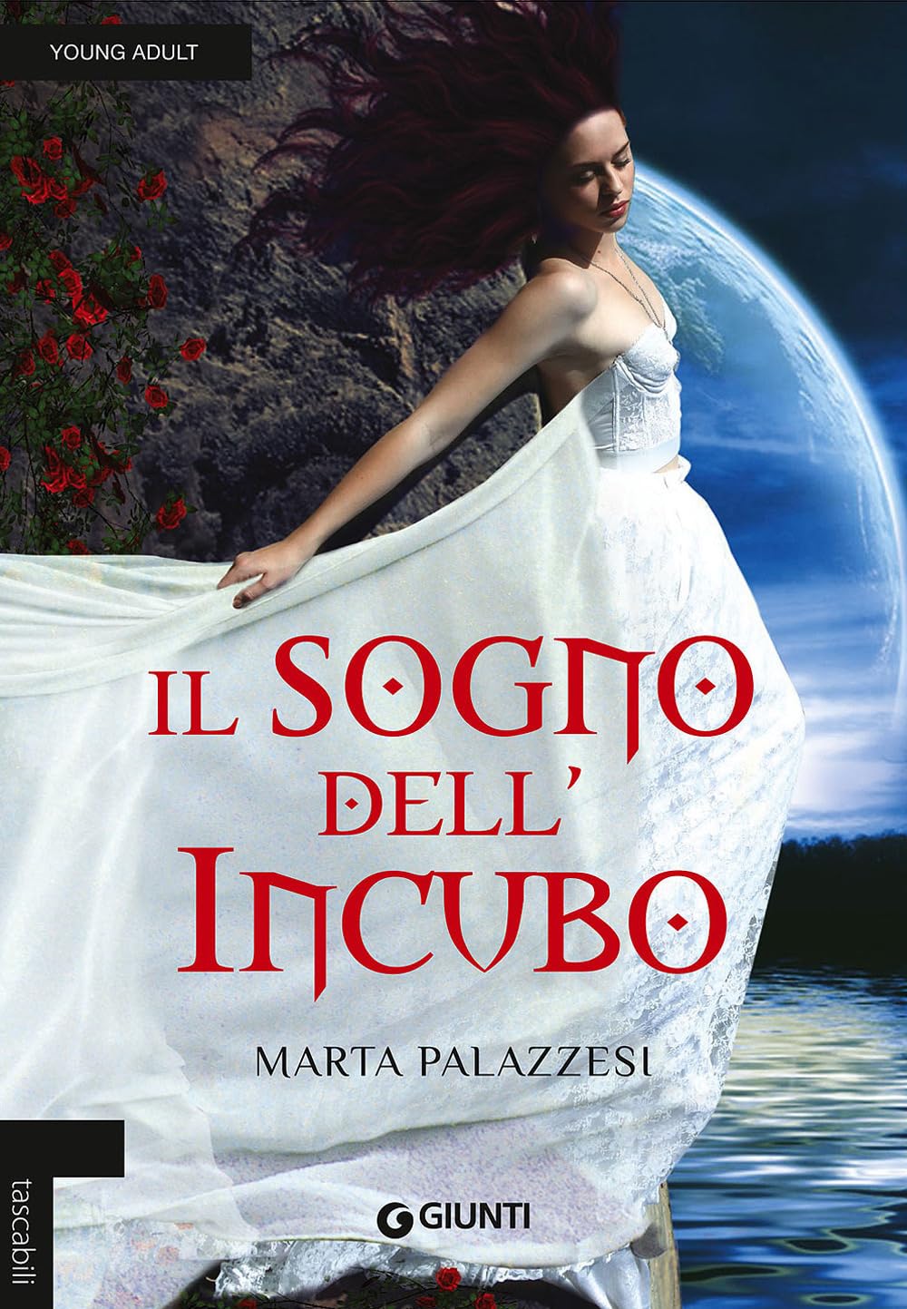 Palazzesi, M: Sogno dell'incubo Contemporary literature