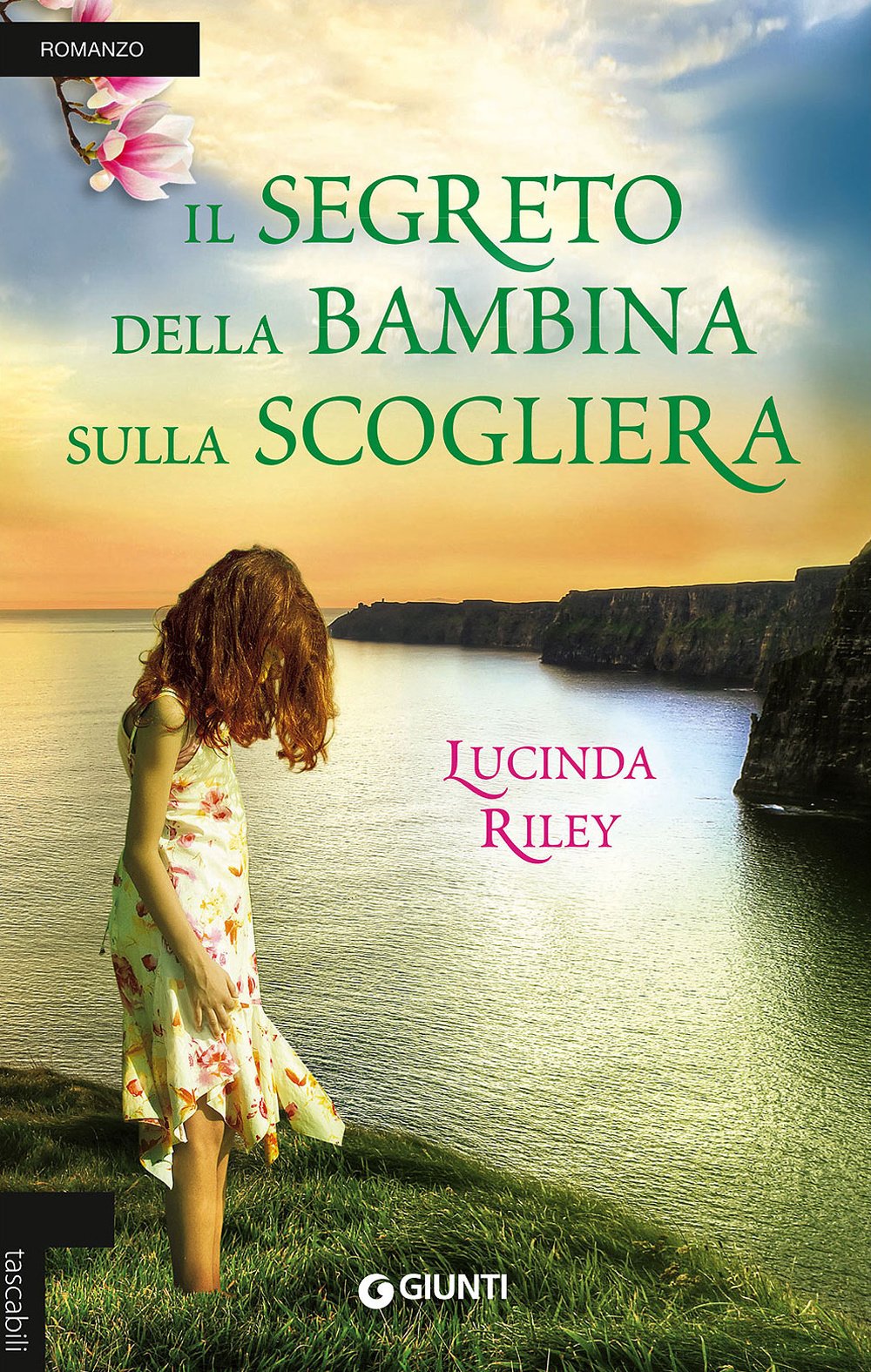 Il segreto della bambina sulla scogliera book