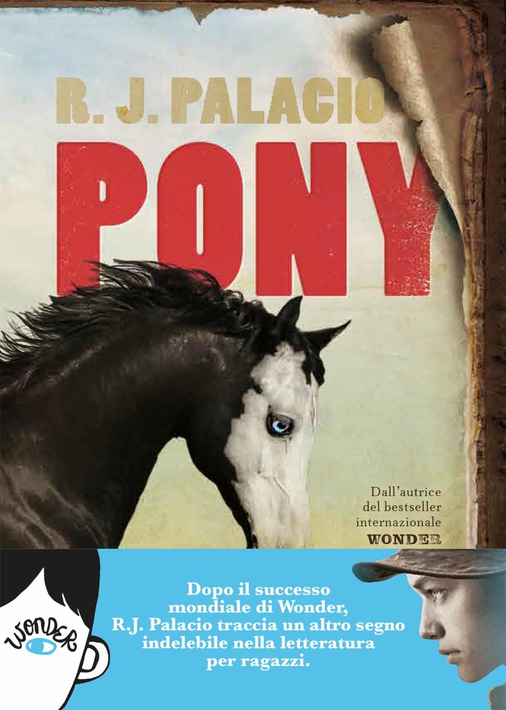 Pony Novels & Short Stories for children