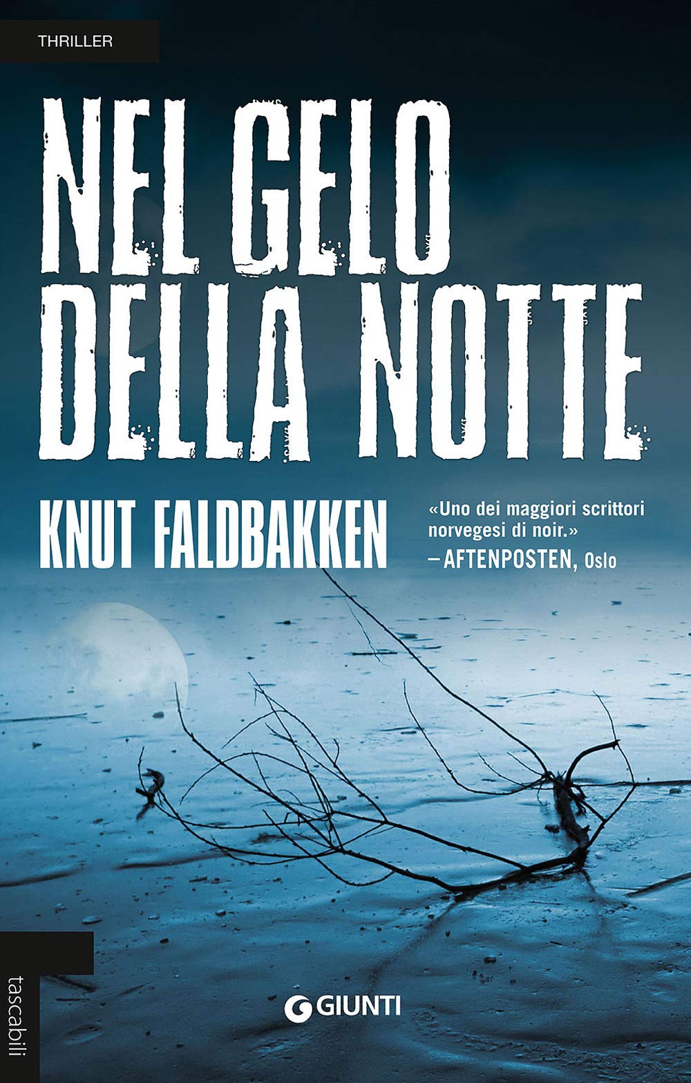 Nel gelo della notte (Tascabili Giunti) Contemporary literature
