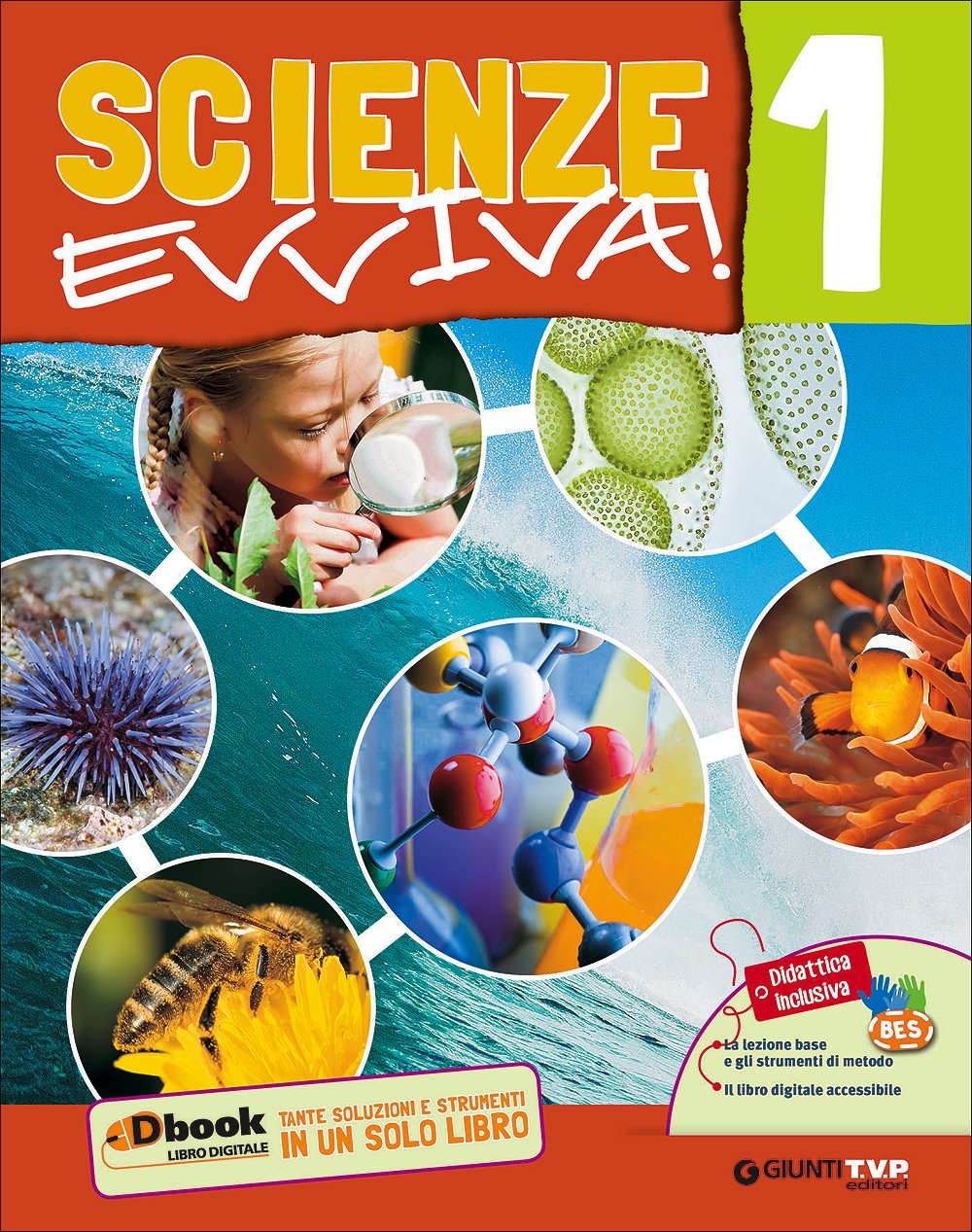 Scienze evviva. Le scienze con metodo. Per la Scuola media. Con e-book. Con espansione online (Vol. 1) book