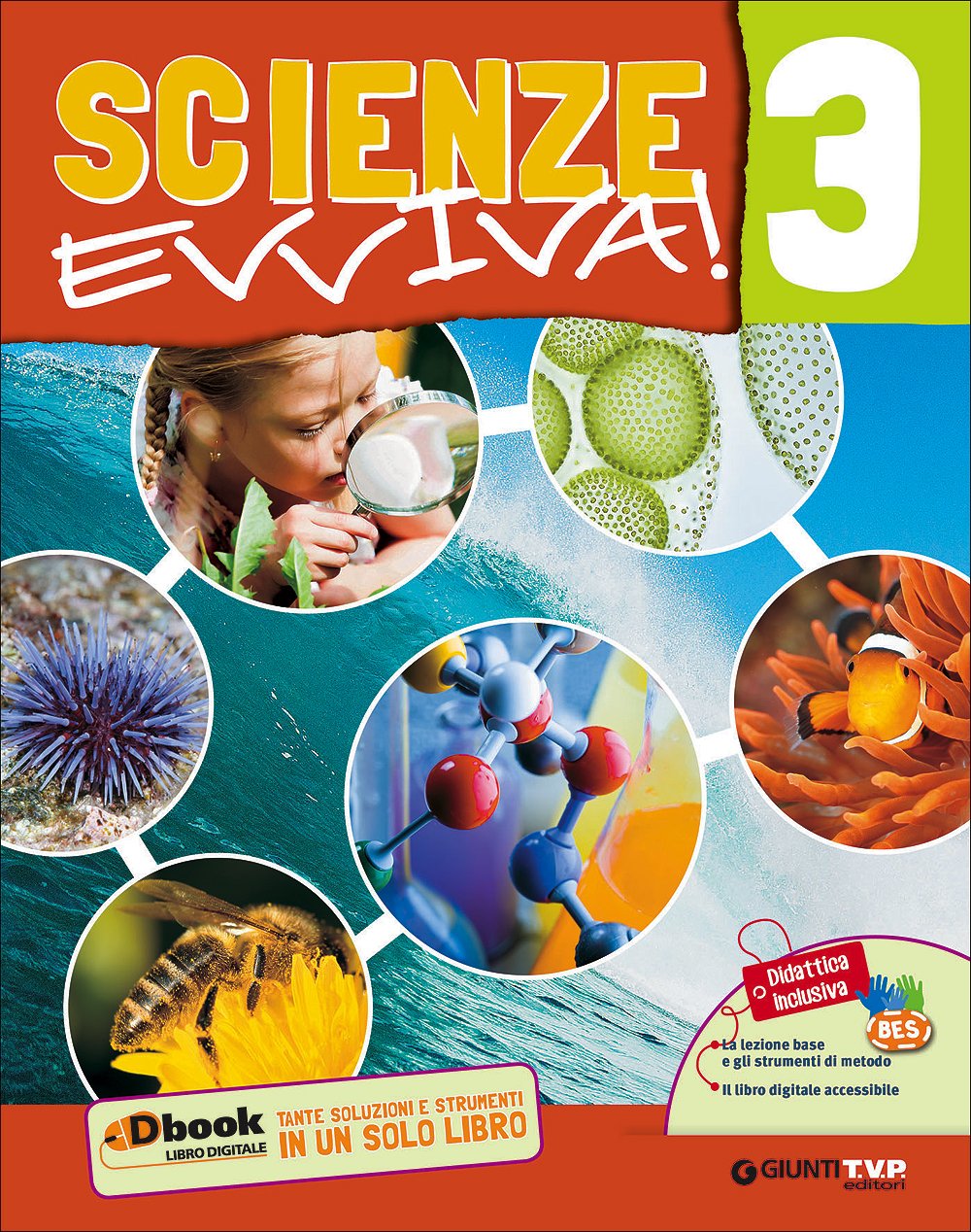Scienze evviva. Le scienze con metodo. Per la Scuola media. Con e-book. Con espansione online (Vol. 3) Professional & Reference Books