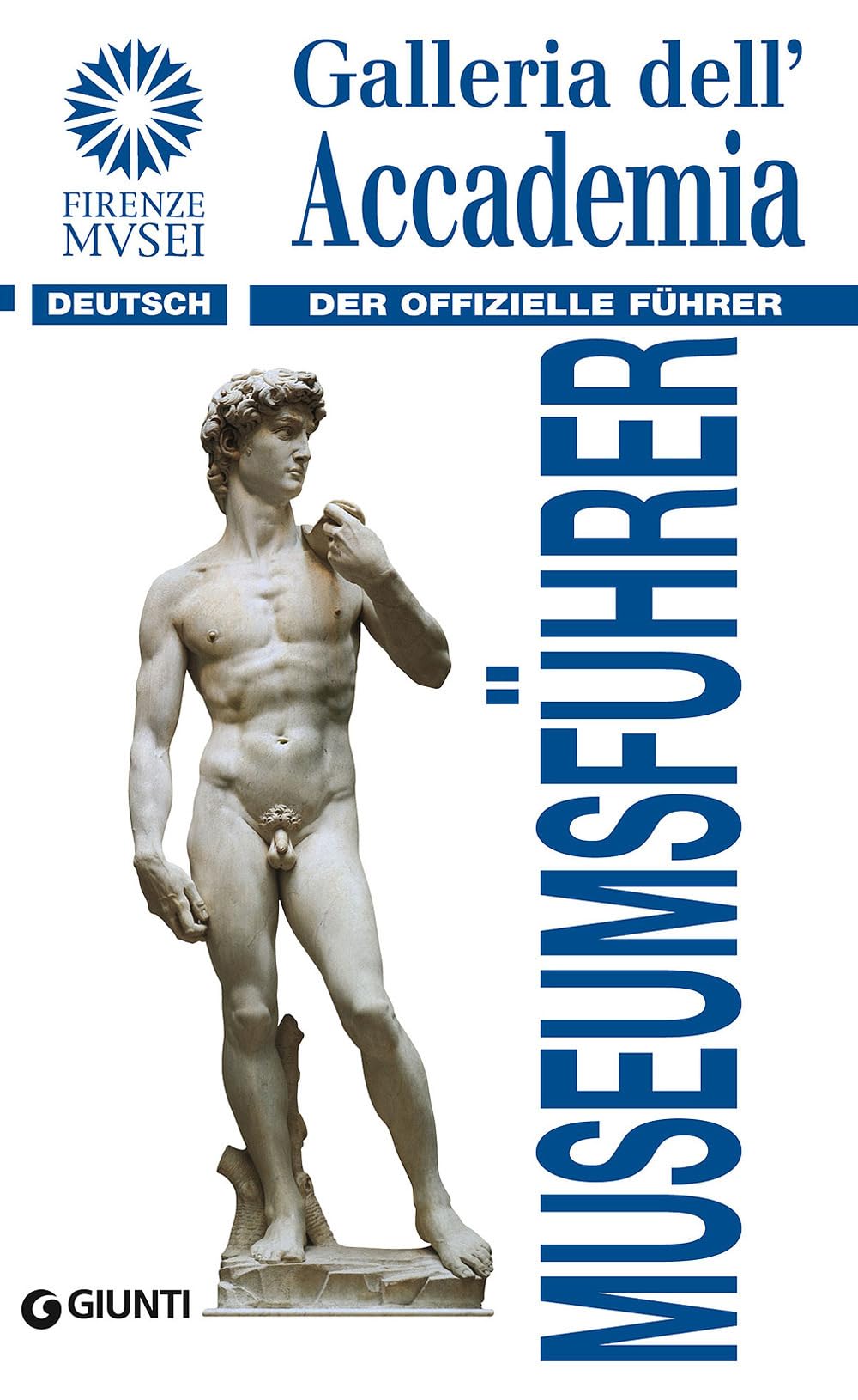 Galleria dell'Accademia. Der offizielle Führer. Ediz. tedesca (Guide uff. musei fiorentini. Rapide) Leisure, Home & Garden