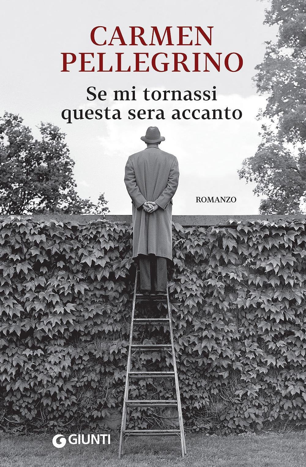 Se mi tornassi questa sera accanto book