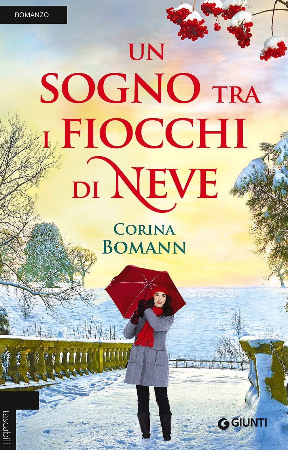 Bomann, C: Sogno tra i fiocchi di neve book