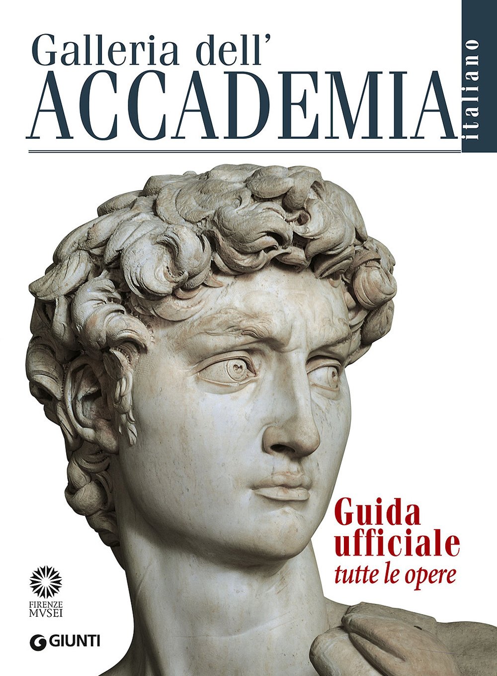 Galleria dell'Accademia. Guida ufficiale. Tutte le opere (Guide uff. musei fiorentini. Complete) Leisure, Home & Garden