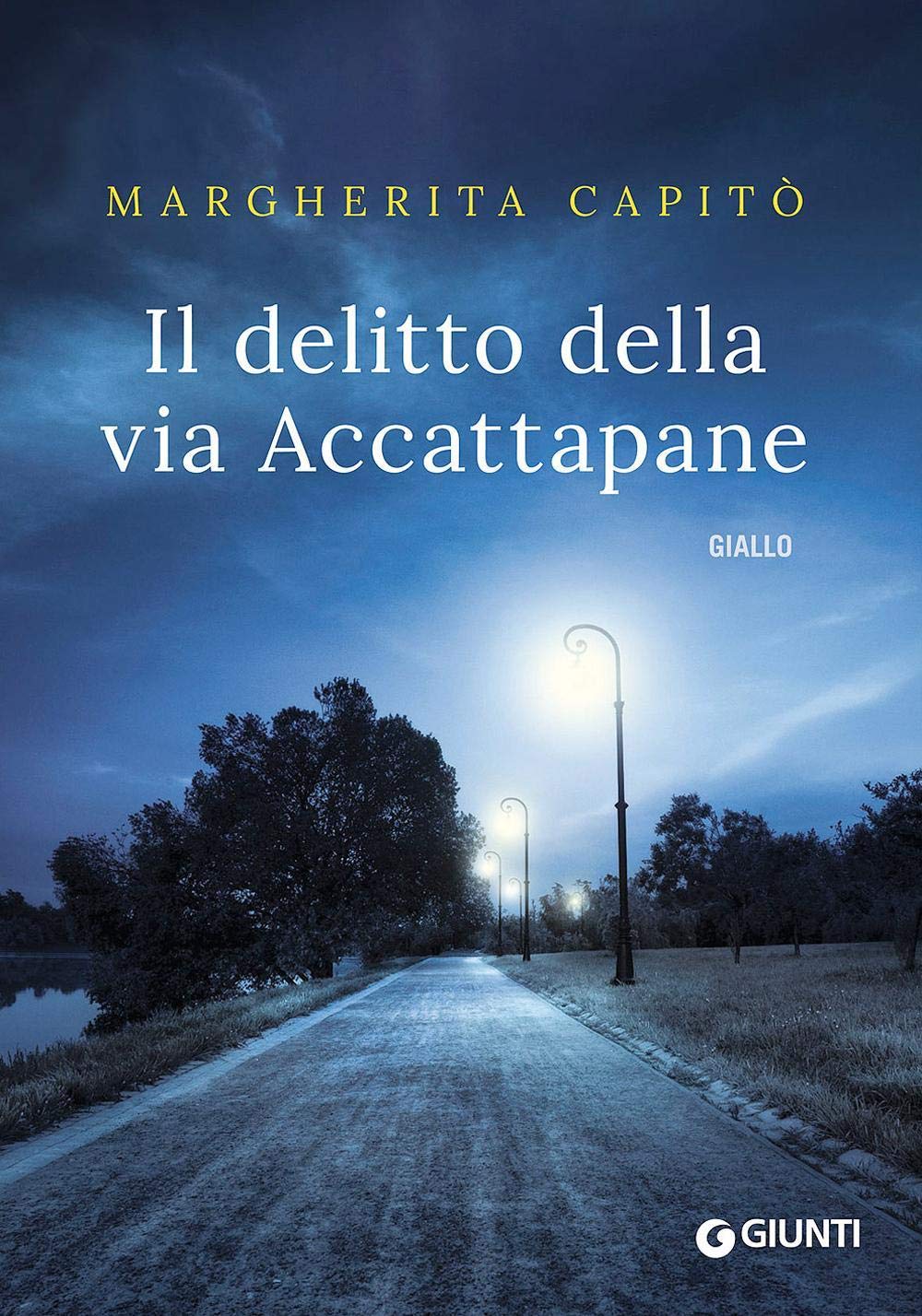 Il delitto della via Accattapane book