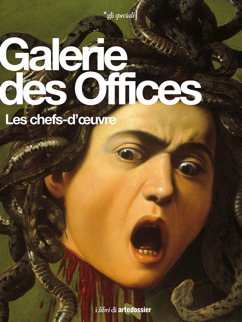 Galerie des Offices. Les chefs-d'oeuvre. Ediz. illustrata book