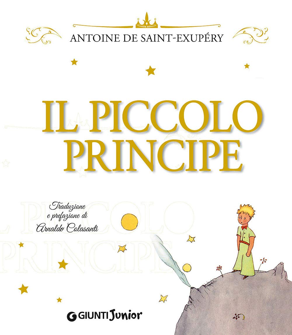 Il Piccolo Principe. Ediz. lusso book