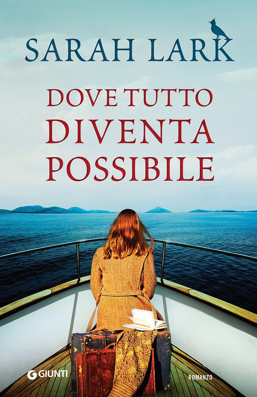 Dove tutto diventa possibile book