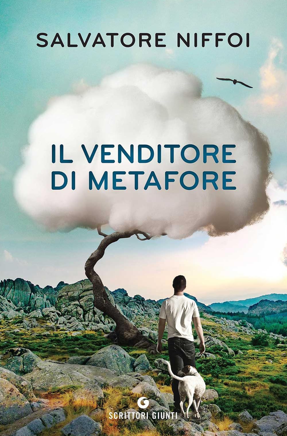 Product Image: Il venditore di metafore