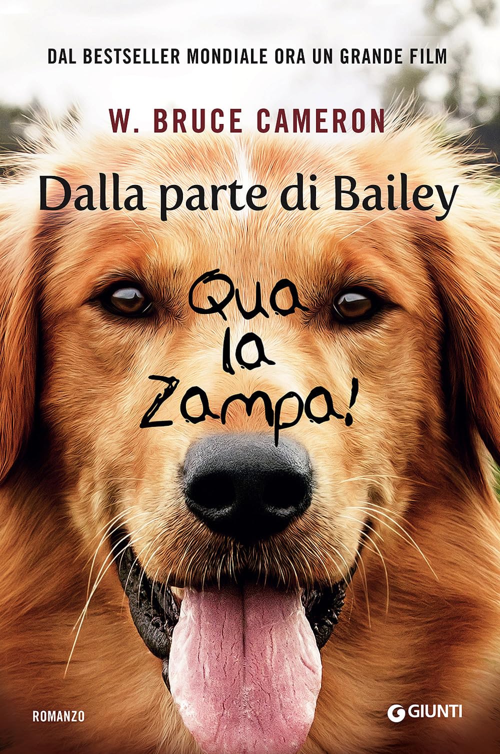 Cameron, B: Dalla parte di Bailey. Qua la zampa! book