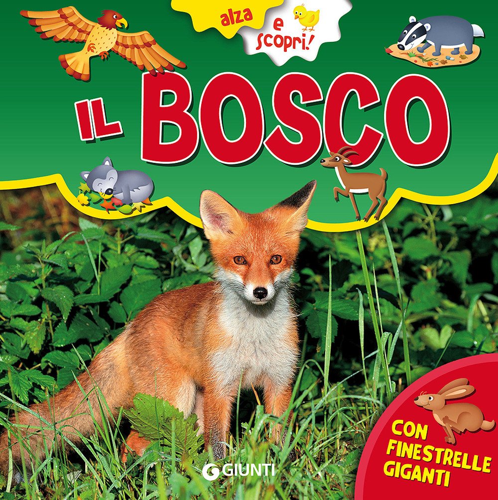 Il bosco. Ediz. a colori book