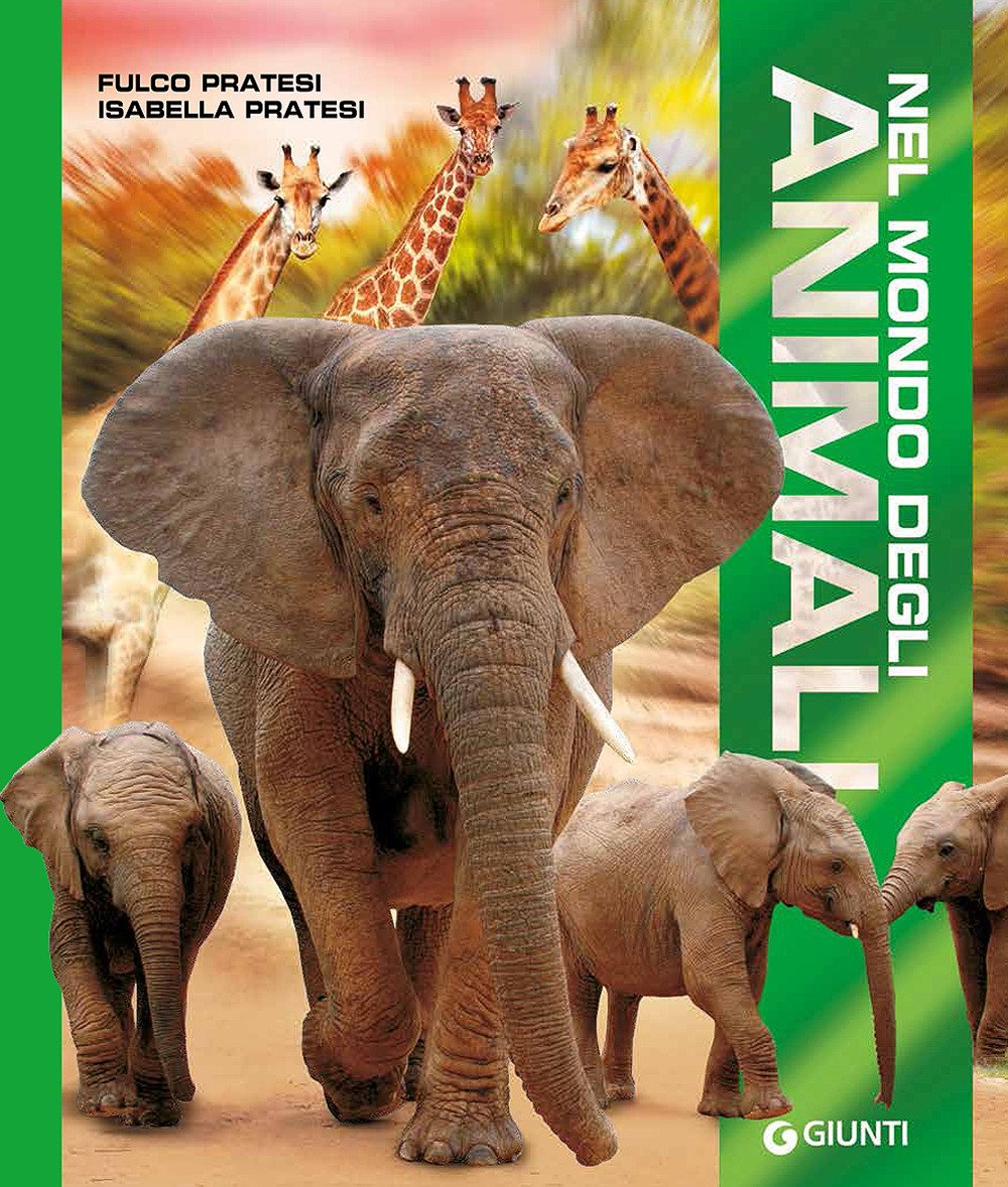 Nel mondo degli animali. Ediz. a colori book