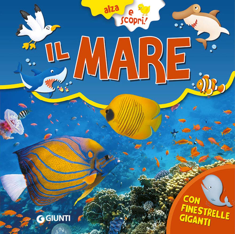 Porciatti, G: Mare Non-fiction