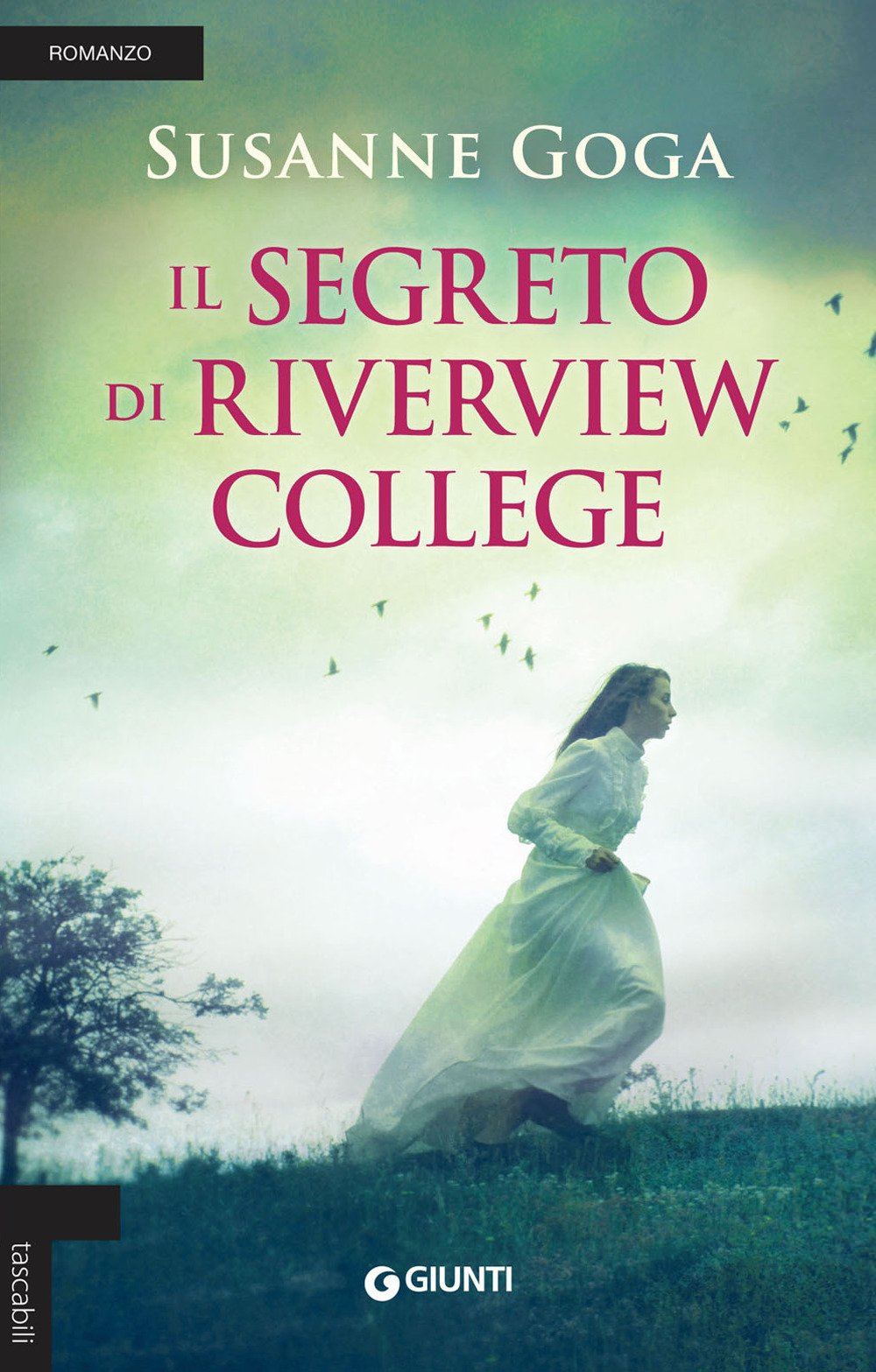 Il segreto di Riverview College book