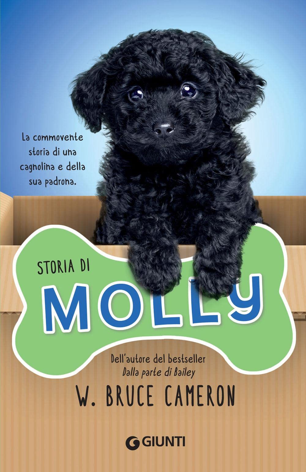 Cameron, W: Storia di Molly book
