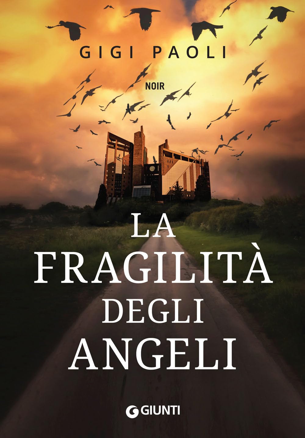 La fragilità degli angeli book
