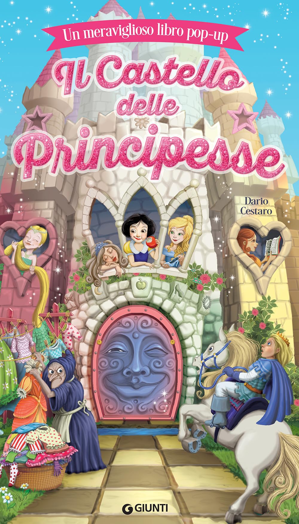 Il castello delle principesse book