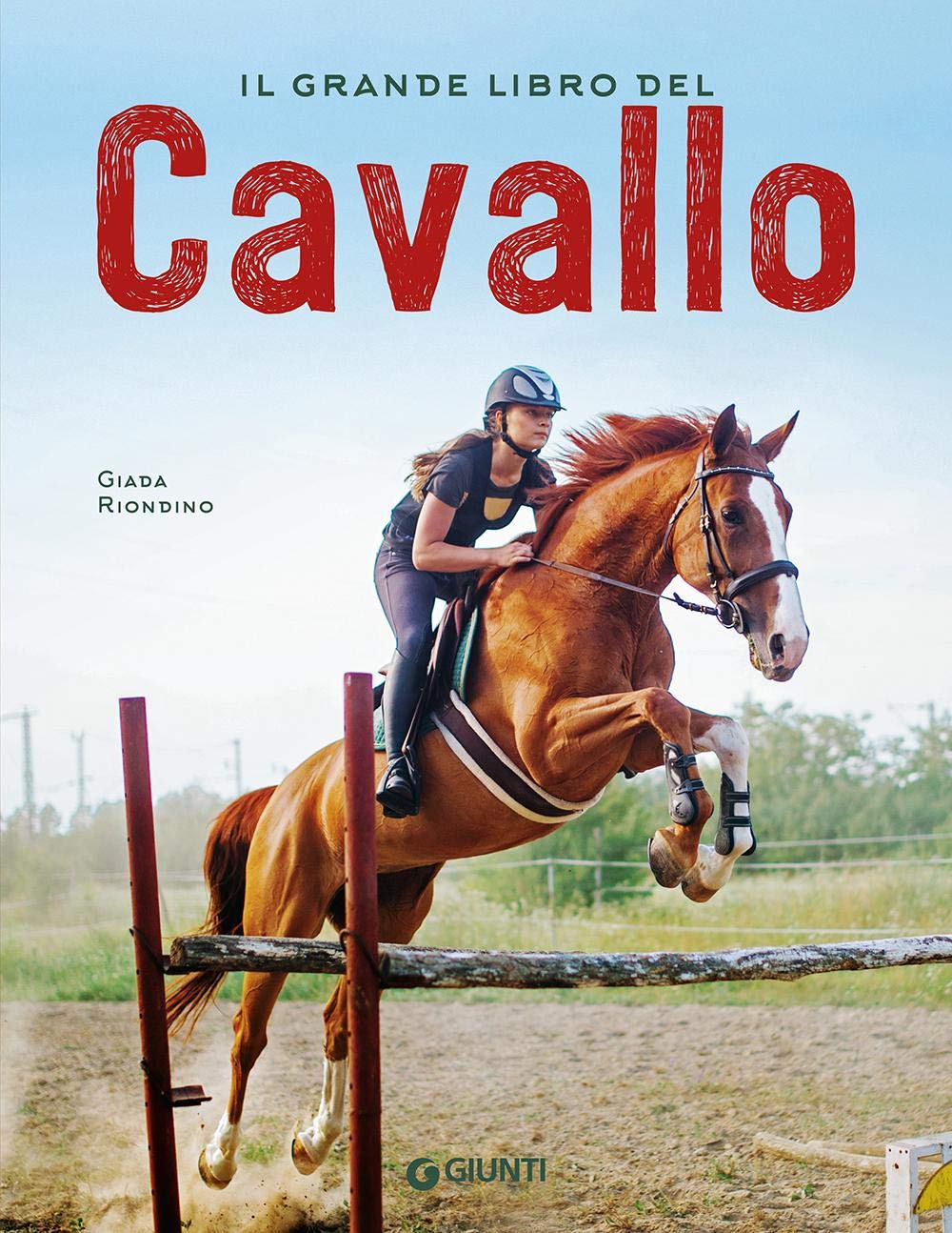 Il grande libro del cavallo. Nuova ediz. (Grandi libri) Non-fiction