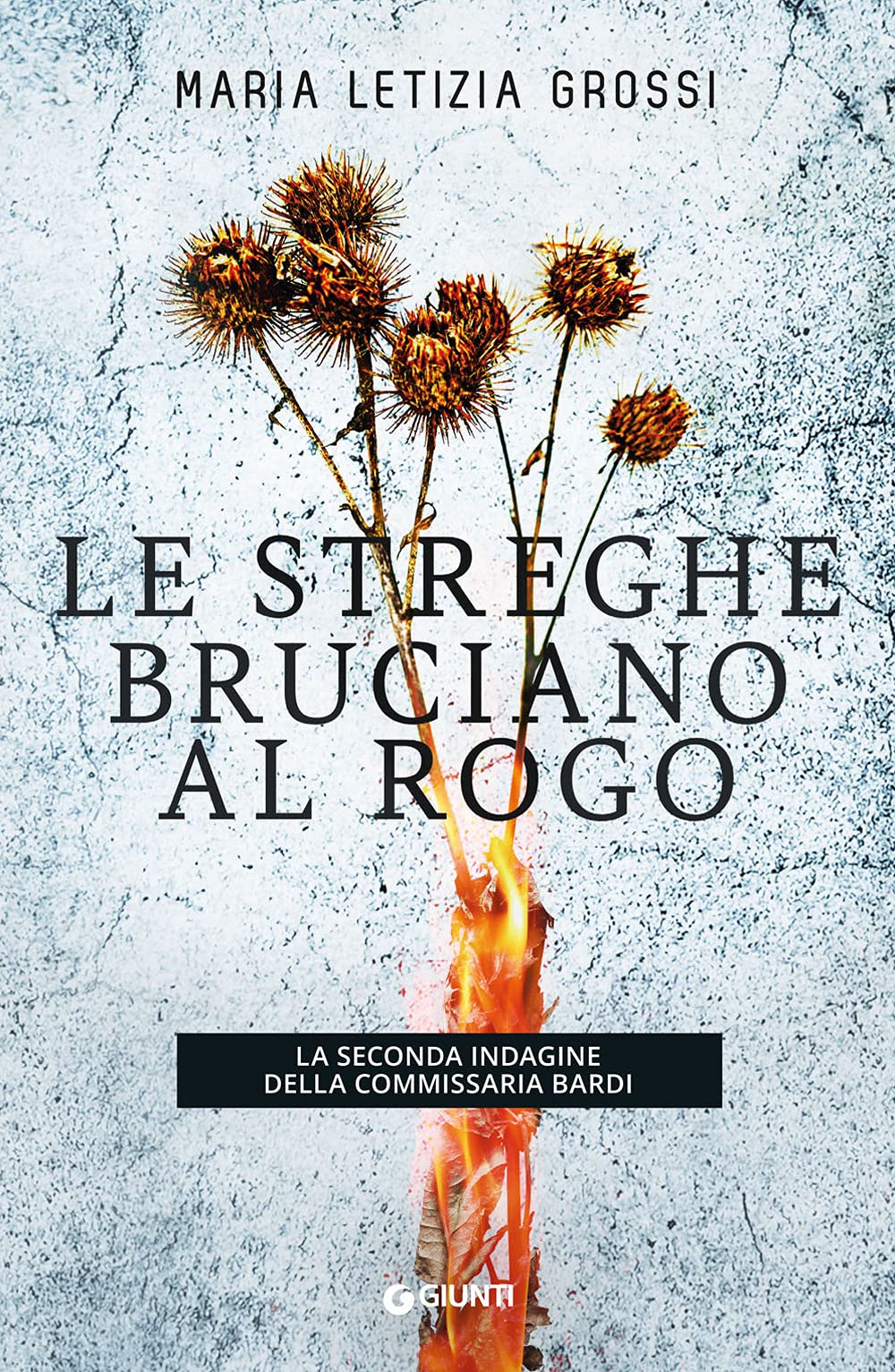 Le streghe bruciano al rogo: La seconda indagine della commissaria Bardi Contemporary literature