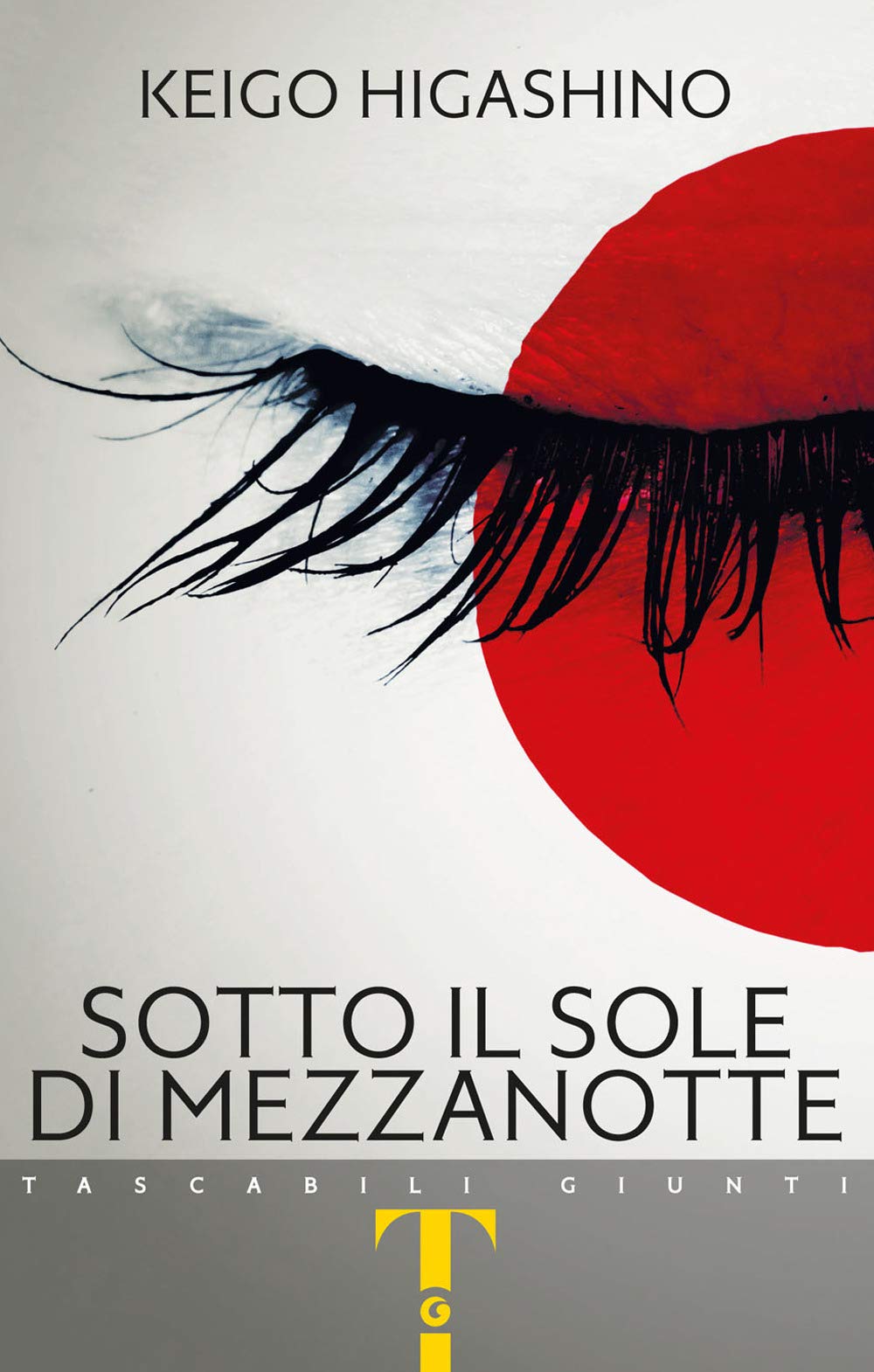 Sotto il sole di mezzanotte book