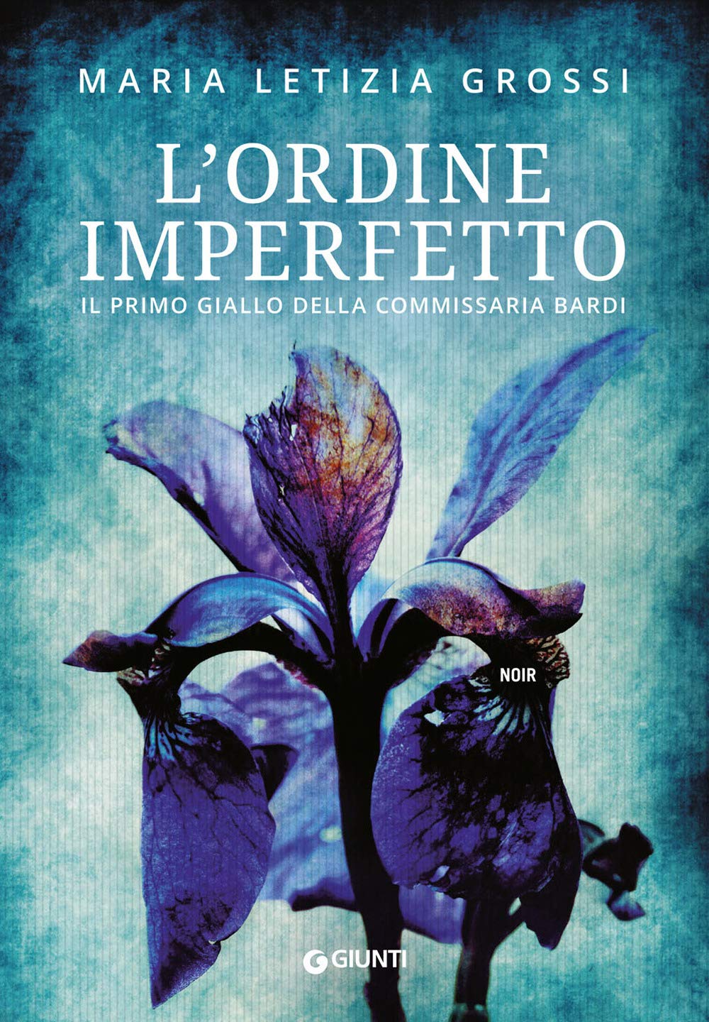 L'ordine imperfetto: Il primo giallo della commissaria Bardi Contemporary literature