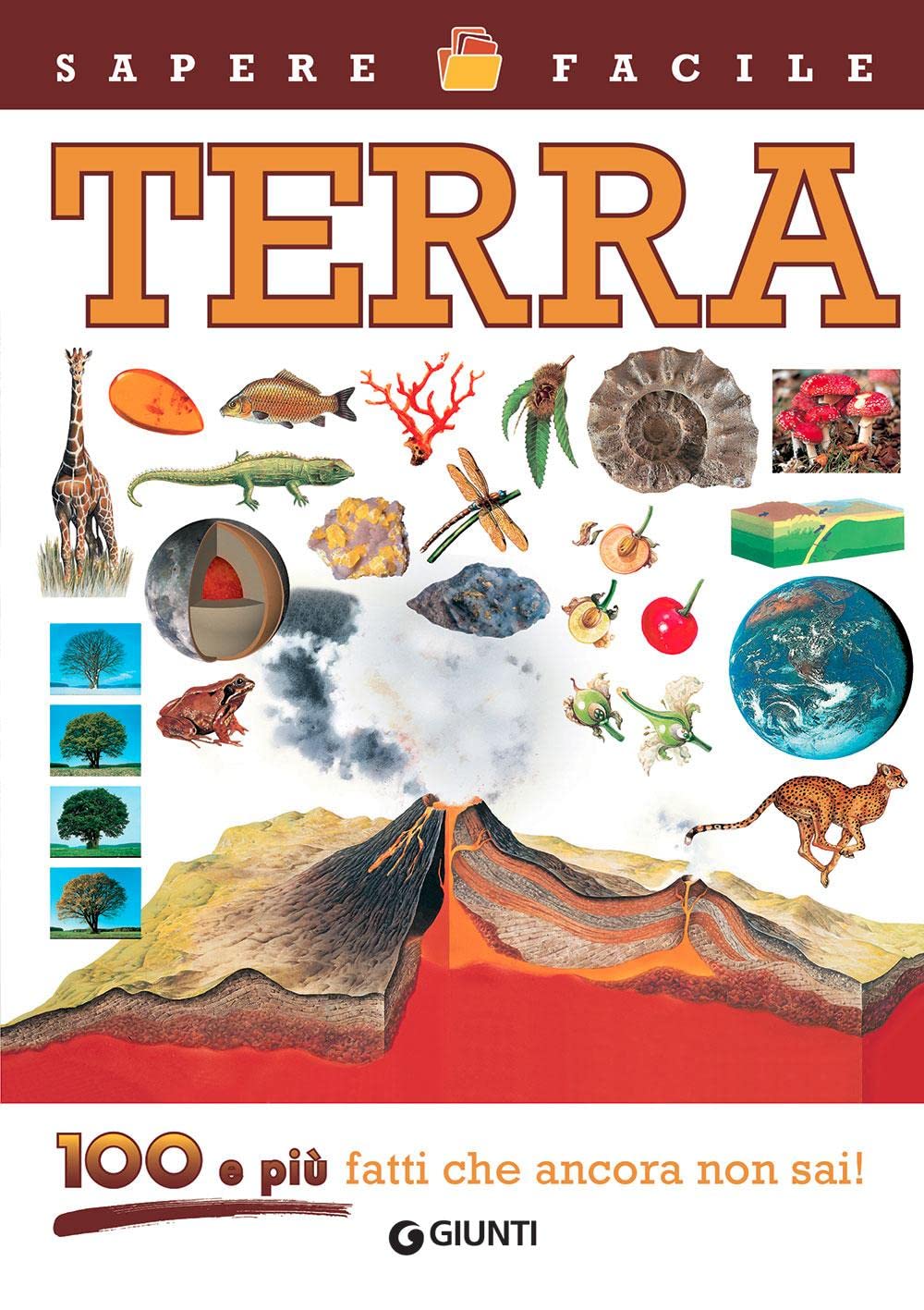 Terra. 100 e più fatti che ancora non sai! Ediz. a colori book