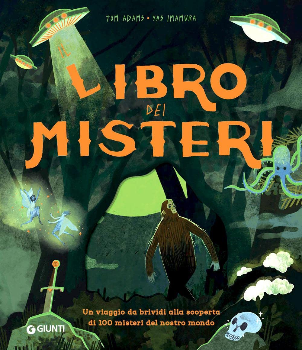 Il libro dei misteri. Ediz. a colori book