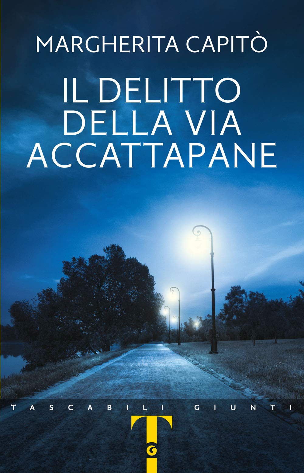 Il delitto della via Accattapane Contemporary literature