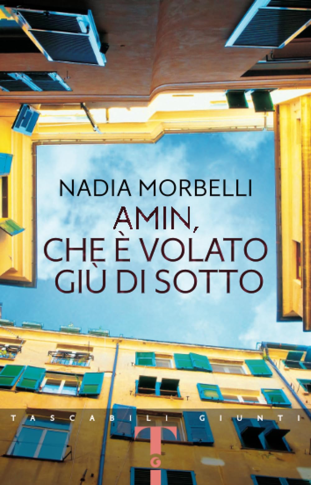 Amin, che è volato giù di sotto Contemporary literature