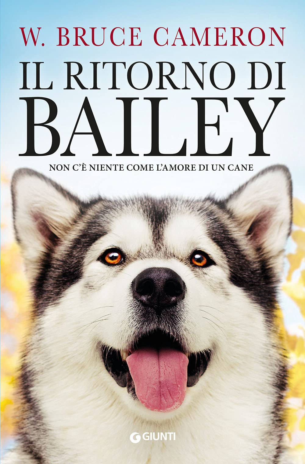 Il ritorno di Bailey: Non c'è niente come l'amore di un cane book