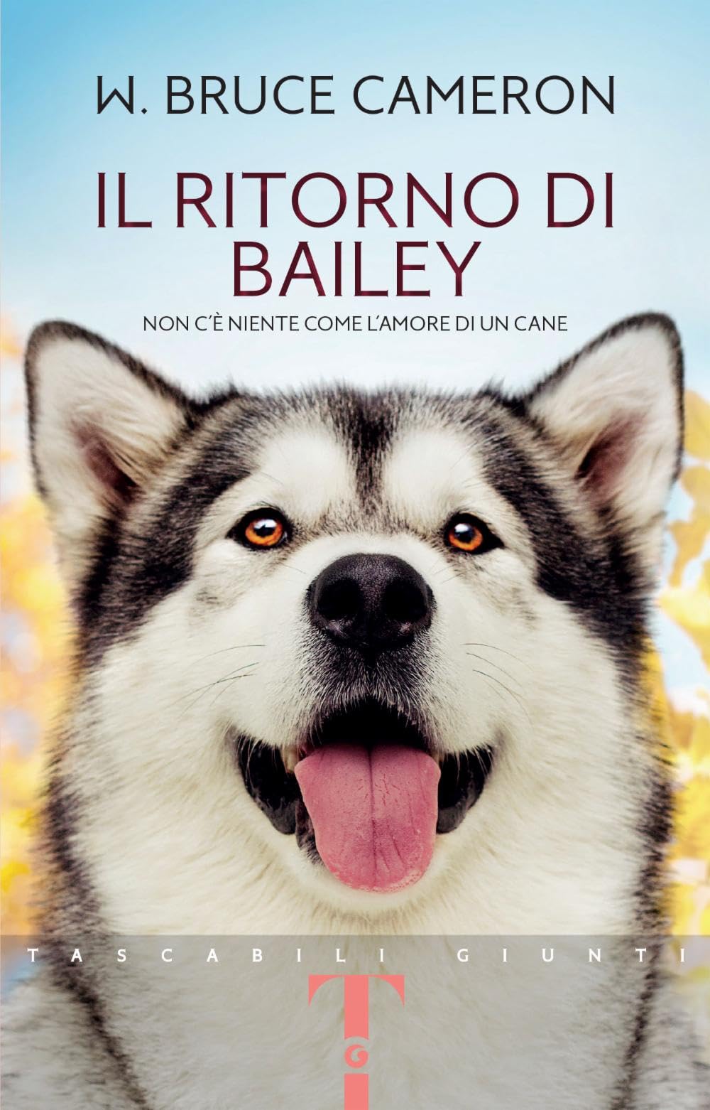 Il ritorno di Bailey book
