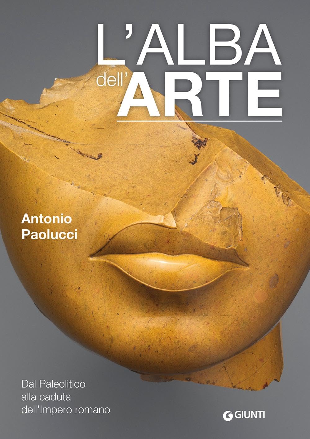L'alba dell'arte. Dal Paleolitico alla caduta dell'Impero romano book