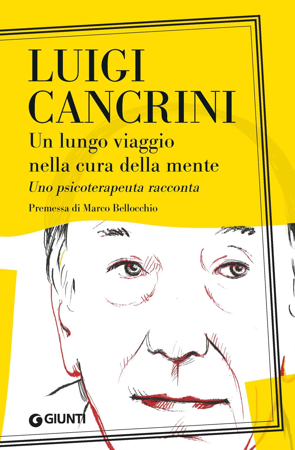Un lungo viaggio nella cura della mente. Uno psicoterapeuta racconta book