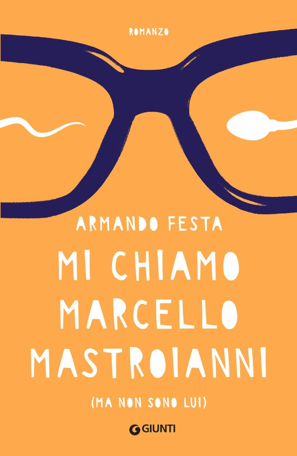 Mi chiamo Marcello Mastroianni (ma non sono lui) book
