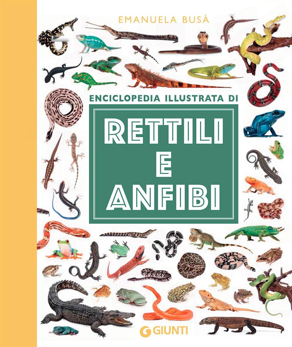 Enciclopedia illustrata di rettili e anfibi. Ediz. a colori book
