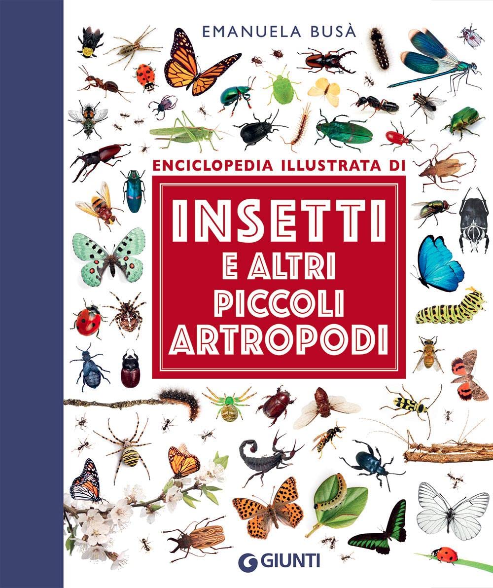 Insetti e altri piccoli artropodi. Enciclopedia illustrata (Piccole enciclopedie illustrate) Non-fiction