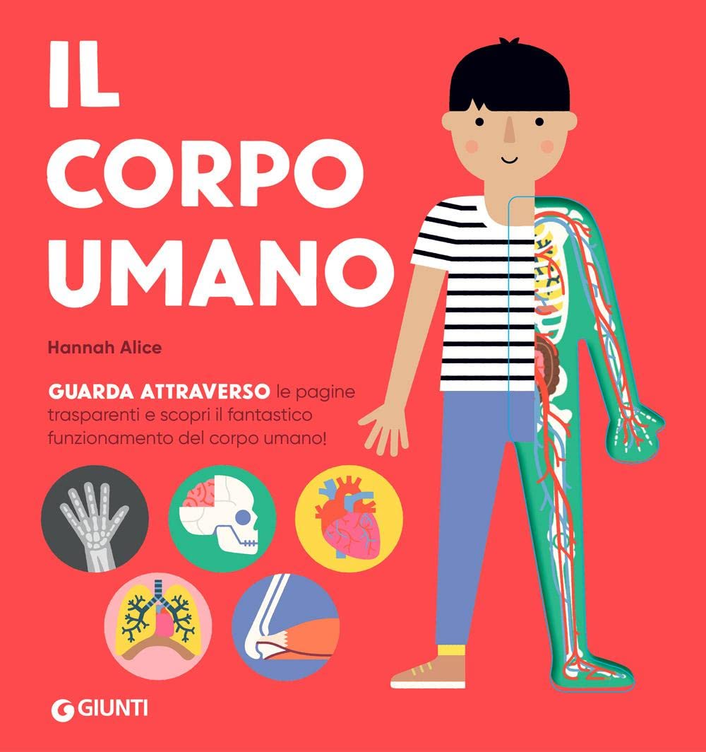 Il corpo umano. Ediz. a colori book