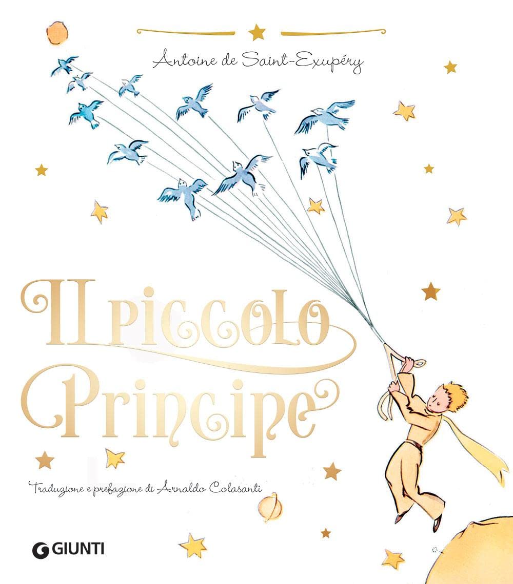 Il Piccolo Principe. Ediz. lusso book