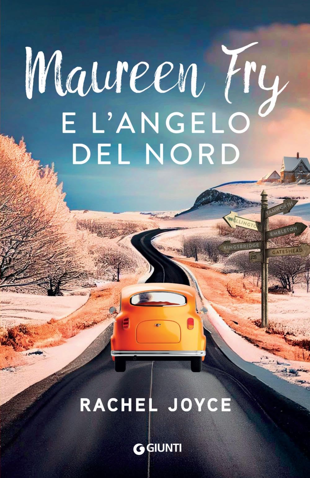 Maureen Fry e l'angelo del Nord Contemporary literature